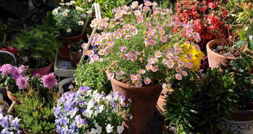The Perfect Containers for Your Garden
